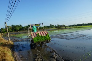 Bảo đảm sản xuất nông nghiệp trong tình hình dịch bệnh 