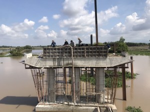 Thi đua phòng chống thiên tai, ứng phó với biến đổi khí hậu, trồng cây gây rừng 