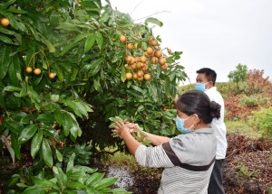 Người dân và nhà nước cùng hỗ trợ, chia sẻ khó khăn 