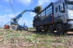 Nông dân quan tâm đến việc chuyển giao công nghệ mới, phát triển kinh tế tập thể 