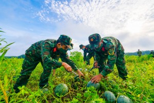 "Ý Đảng, lòng dân" trong cuộc chiến phòng, chống dịch COVID-19 