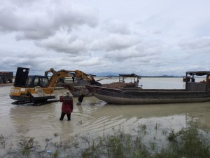 Người dân tranh thủ thu hoạch củ mì   