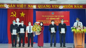 Bổ nhiệm các chức vụ chánh, phó tòa chuyên trách 