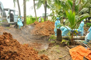 Tập trung triển khai quyết liệt, đồng bộ các giải pháp phòng, chống dịch tả heo châu Phi 