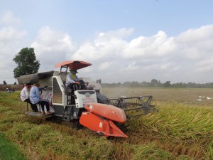 Chuyển mục đích sử dụng hơn 25ha đất trồng lúa để thực hiện 8 dự án, công trình 