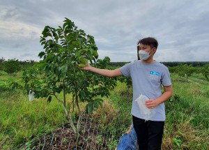 Xây dựng thương hiệu cho trái mãng cầu “khổng lồ”   