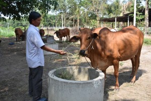 Hội Nông dân huyện Dương Minh Châu: Tích cực hỗ trợ hội viên sản xuất 