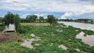 Hệ thống quan trắc tự động: Góp phần nâng cao hiệu quả quản lý nhà nước về bảo vệ môi trường - Báo Tây Ninh Online