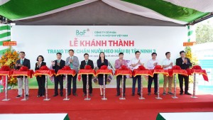 BaF Việt Nam: Khánh thành trang trại chăn nuôi heo hậu bị tại Tân Biên - Báo Tây Ninh Online