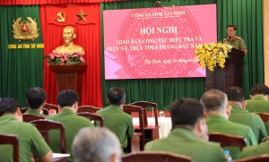 6 tháng đầu năm 2022: Kiềm chế và kéo giảm các loại tội phạm - Báo Tây Ninh Online