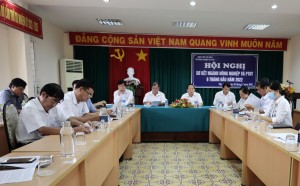 Sản xuất nông nghiệp phục hồi sau đại dịch - Báo Tây Ninh Online