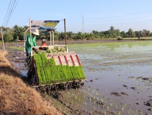 Nông dân khó tiếp cận chính sách - Báo Tây Ninh Online