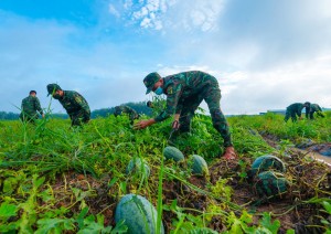 Tân Châu hoàn thành tốt các chỉ tiêu quân sự, quốc phòng năm 2022 - Báo Tây Ninh Online