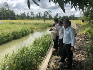 Xã Phước Chỉ, thị xã Trảng Bàng: Phát huy vai trò dẫn dắt nông dân của Hợp tác xã - Báo Tây Ninh Online