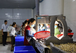 Kiểm tra an toàn thực phẩm dịp Tết - Báo Tây Ninh Online