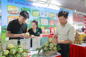 Nâng cao giá trị thương hiệu và năng lực cạnh tranh của các sản phẩm chủ lực